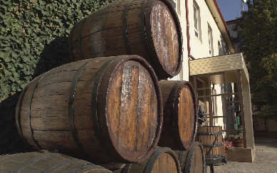 Производство винный завод КОБЛЕВО